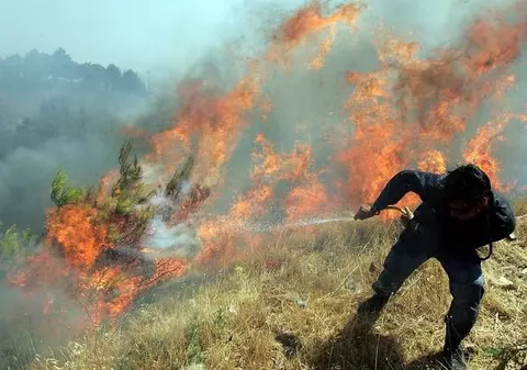 Pompierii au stins în luna iulie peste 1100 de incendii