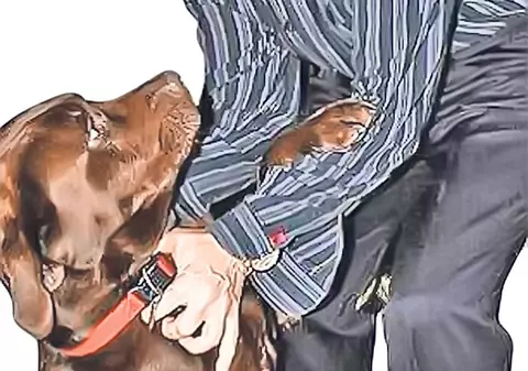 Un român bogat i-a furat nevasta milionarului englez