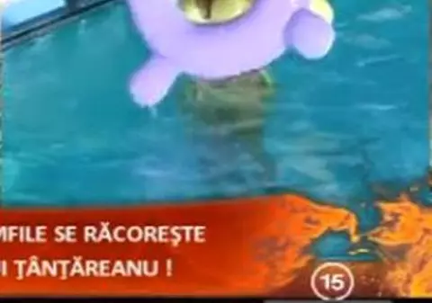 PRINȘI în FLAGRANT! Mădălina Pamfile s-a distrat toată noaptea cu Țânțăreanu în piscină! VIDEO