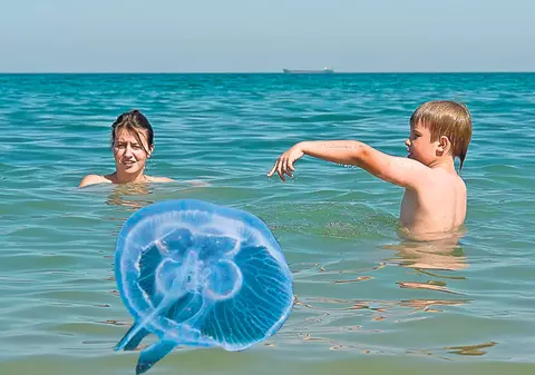 Atenție la pericolele ascunse în apa mării! Ce trebuie să faci când te-a înțepat omeduză