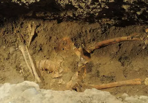AI IDEE AL CUI E SCHELETUL ACESTA? Avea CEL MAI CUNOSCUT ZÂMBET DIN ISTORIE