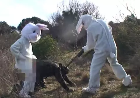 Cât de NEBUN să fii să GUȘTI genul ăsta de UMOR? Și totuși, nu te poți ABȚINE să nu RÂZI în HOHOTE! VIDEO