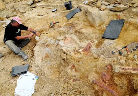 ROMÂNII, UMILIŢI "ŞTIINŢIFIC". O specie nouă descoperită în Franţa, numită  "dinozaur ţigan". Cică seamănă cu "verii români"