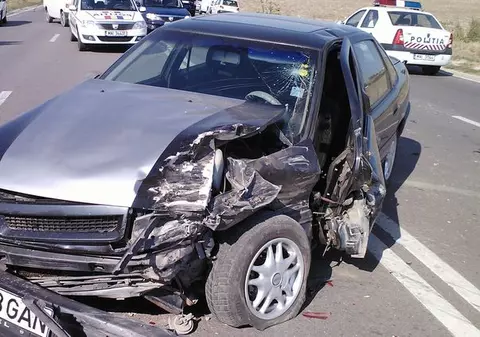 Printr-o minune au scăpat cu viaţă dintre fiarele acestea!