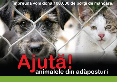 Donaţie apetisantă: 100.000 de porţii de mâncare pentru animalele din adăposturi