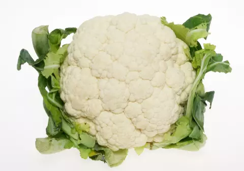 Conopidă pané