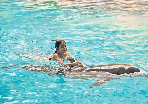 De la anul, o să înotăm cu delfinii la Constanţa