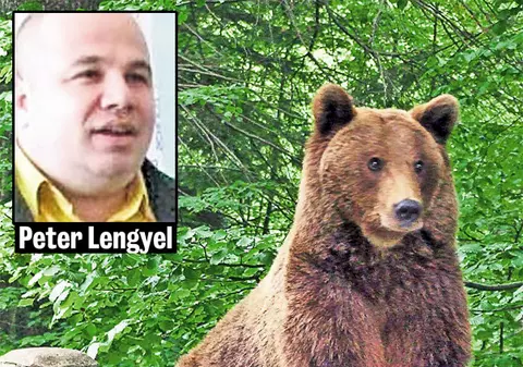 Un expert român comentează problema animalelor sălbatice: «Urşii sunt hăituiţi pentru bani»