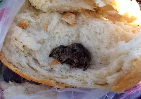 Susţine că a găsit un şoarece copt în pâine! FOTO
