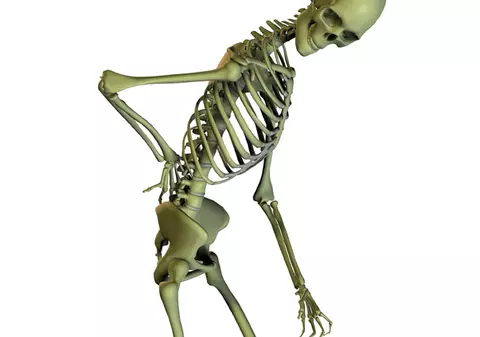 Aşa previi osteoporoza