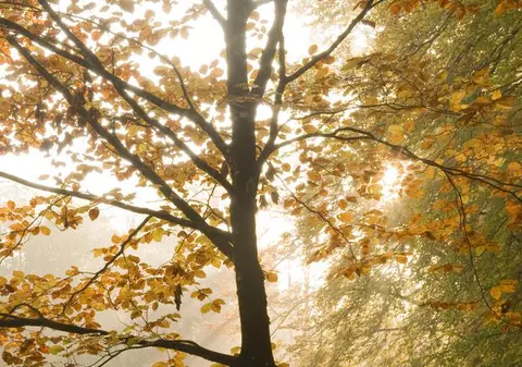 Temperaturi de VARĂ la sfârșitul lui septembrie. Vezi PROGNOZA METEO pentru săptămâna viitoare!