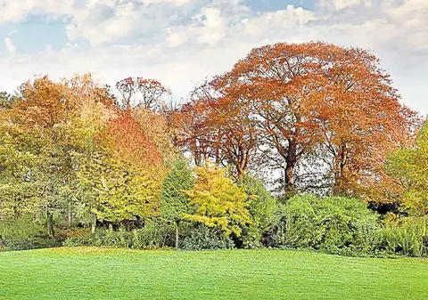 Weekendul vine cu vreme caldă, dar şi cu câteva ploi slabe Veziaici PROGNOZA