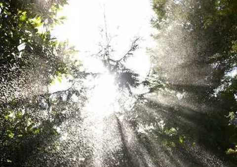 Vreme prea caldă pentru septembrie. Vezi PROGNOZA pentru luni și marți!