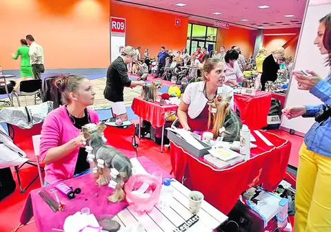 Concurs de frumuseţe canină în Capitală. Ia uite ce câini haioşi au venit la Bucureşti!