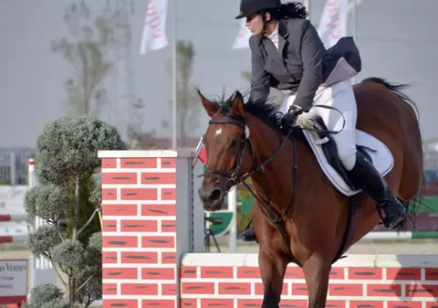 Premieră de senzație: faimosul Salon du Cheval din Paris "s-a mutat" în Micul Paris