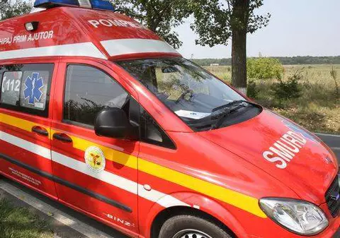 Fetiță de nouă ani, SFÂȘIATĂ DE CÂINI! 