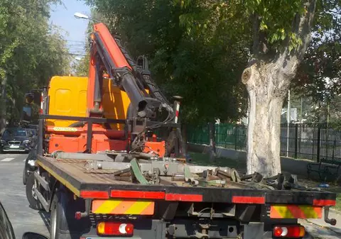 Uite-i pe ”hingherii de maşini” cum stau la vănătoare