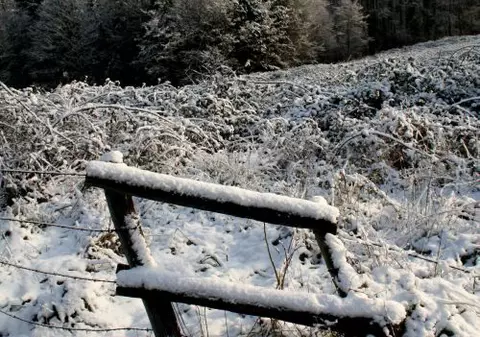 IARNA face victime în EUROPA. VEZI ţările în care A NINS abundent