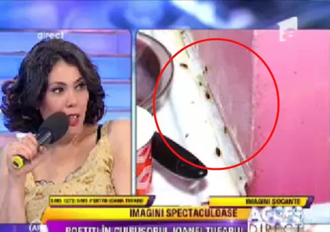 ŞOCANT! Ioana Tufar, fiica Andei Călugăreanu: "DA, AM MILIOANE DE GÂNDACI ÎN CASĂ!" | FOTO