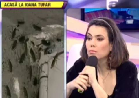 ŞOCANT! Ioana Tufar, CU GÂNDACII ÎN ŞAORMA! Vezi cum explică fiica Andei Călugăreanu MIZERIA DIN CASĂ | FOTO