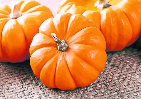 Pontul nutriţionistului. Dovleacul reglează glicemia şi colesterolul