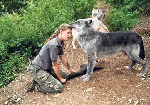 Îşi pune soţia să doarmă cu lupii | GALERIE FOTO