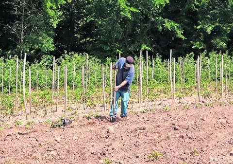 Campanie inedită pentru salvarea agricultorilor: ”Adoptă un ţăran”