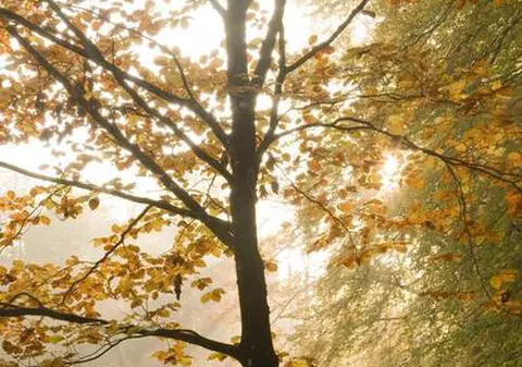 PROGNOZA METEO! Vezi cum va fi vremea în următoarele zile!