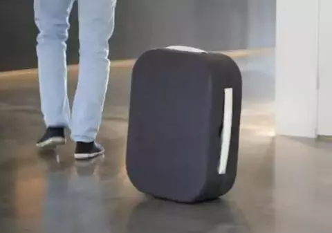 Un gemantan abandonat a declanșat alarma la Ambasada Turciei din București