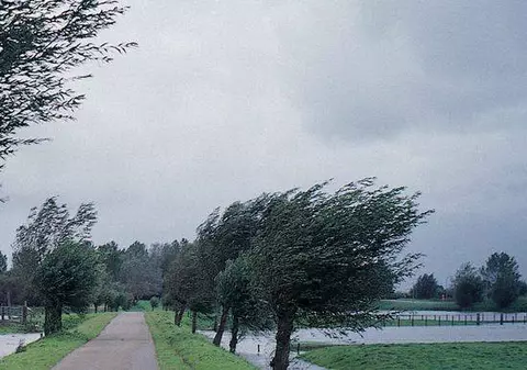 Temperaturi scăzute și ploi. Vezi PROGNOZA METEO pentru următoarele două săptămâni!