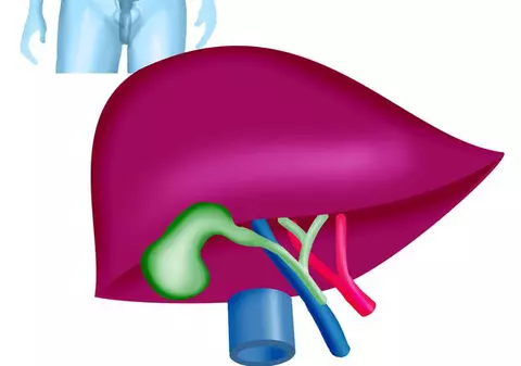 Cum se testează funcțiile hepatice