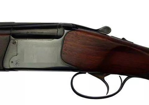 Accident mortal petrecut la o partidă de vânătoare, la Vâlcea