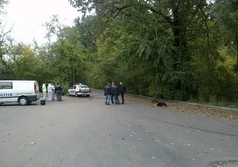 Femeie găsită moartă în Pădurea Băneasa