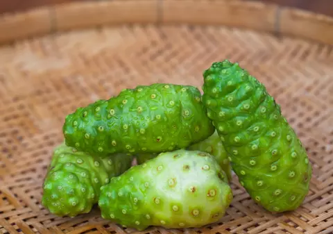 Noni, fructul vieţii