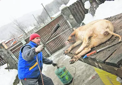 «Ghiţă» ne umple burţile de Crăciun