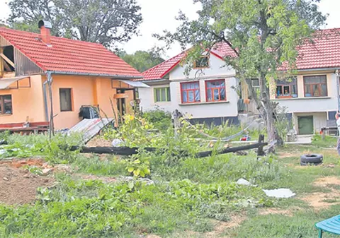 Pentru ei, România e ţara tuturor posibilităţilor!