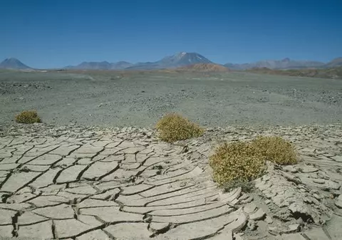NE AMENINȚĂ FOAMETEA! Planeta pierde anual 12 milioane de hectare de teren agricol