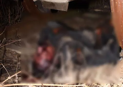 IMAGINI ŞOCANTE. A murit electrocutat sub un vagon