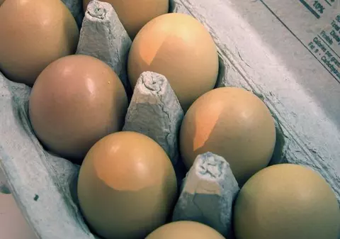 Îngrăşăminte din bucătărie