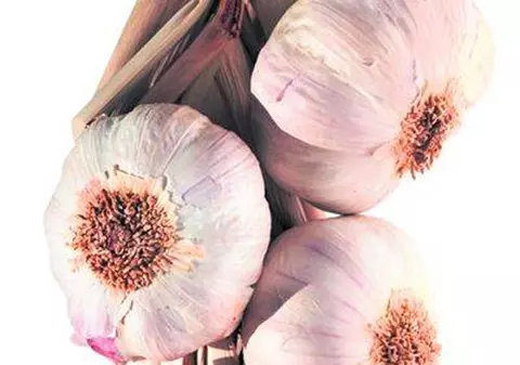 Usturoiul te scapă de alergiile de iarnă 