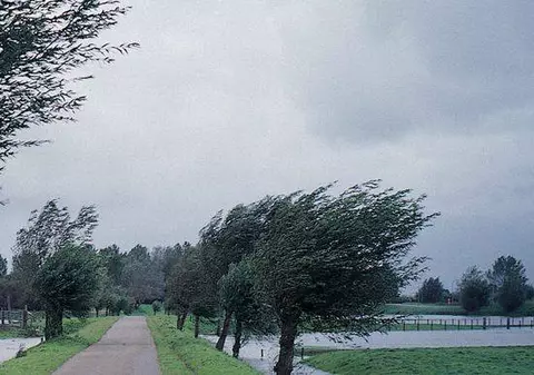 COD GALBEN DE VÂNT, în mai mult judeţe!