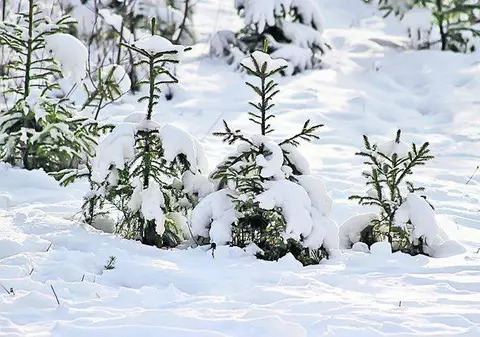PROGNOZA METEO: Vezi cum va fi vremea în weekend!