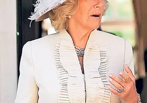 Scandal în cadrul familiei regale britanice | Camilla nu-l vrea pe prințul William rege