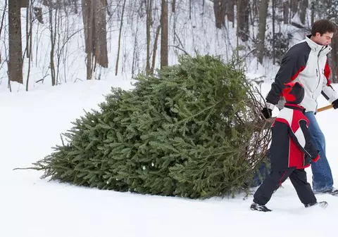 Concurs inedit de aruncare a brazilor în Parcul Drumul Taberei 