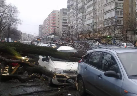 Un copac a căzut peste opt maşini, în faţa Spitalului Colentina din Bucureşti | FOTO&VIDEO