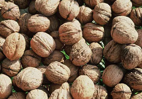 Alimente sățioase care te ajută în timpul dietei