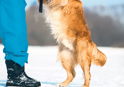 7 ponturi ca să câștigi bani în plus