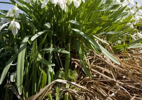 Primăvara vine de 1 Martie! Vezi PROGNOZA METEO!