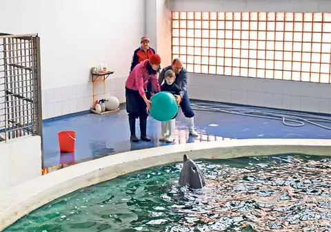 Delfinii din Constanţa vor ajuta copiii bolnavi