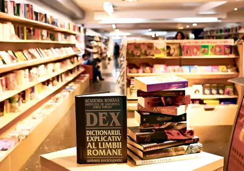 DEX-ul este cea mai furată carte